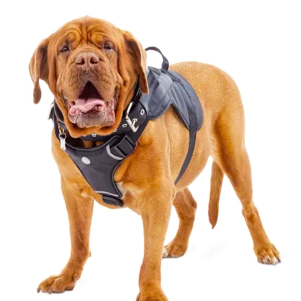 YOULY The Champion Black Big Dog Harness Built in Handle X-Large/XX-Large NEW!!